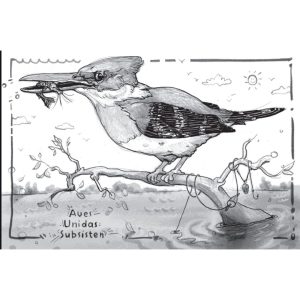 <b>Aves unidas subsisten</b><br> Palmito